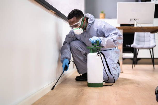 Best Pest Exclusion Services  in Buford, GA